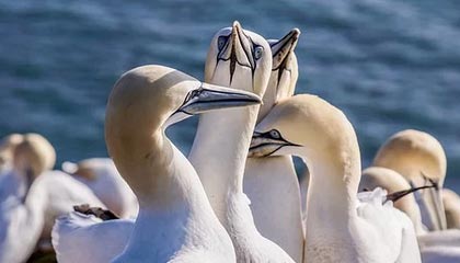 行情怎么看？国退欧？